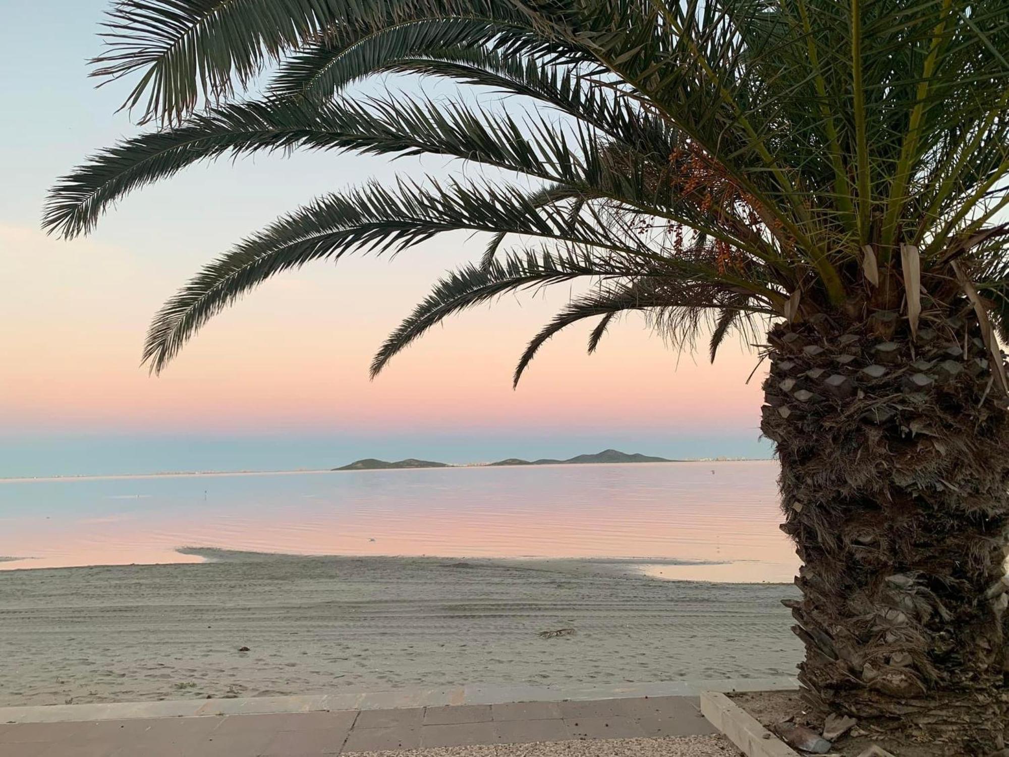 Apartamento Mar Menor, Los Urrutias - Beachfront Apartment With Patio Under New Management Since July 2024 Cartagena Exteriör bild